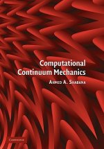 Computational Continuum Mechanics