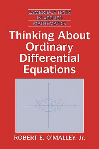 Thinking about Ordinary Differential Equations