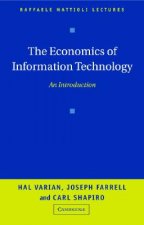 Economics of Information Technology