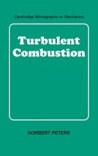 Turbulent Combustion