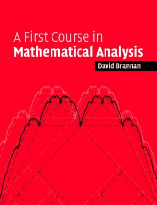 First Course in Mathematical Analysis