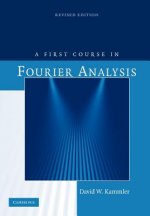 First Course in Fourier Analysis
