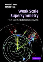 Weak Scale Supersymmetry