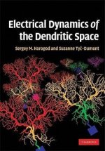 Electrical Dynamics of the Dendritic Space