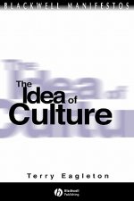 Idea of Culture