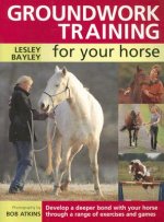 Groundwork Training for Your Horse