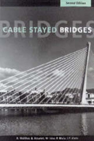 Cable-stayed Bridges