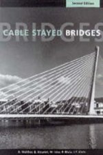 Cable-stayed Bridges