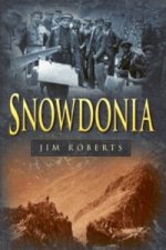 Snowdonia