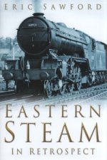 Eastern Steam in Retrospect