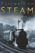 Farewell to Steam