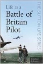 Life as a Battle of Britain Pilot