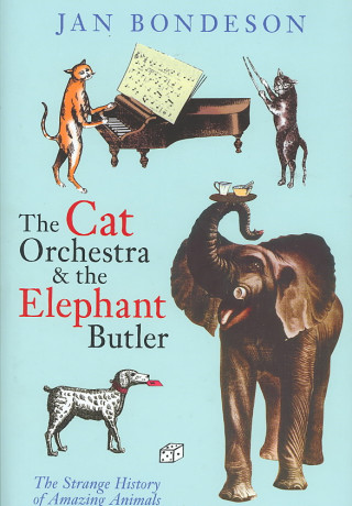 Cat Orchestra and the Elephant Butler