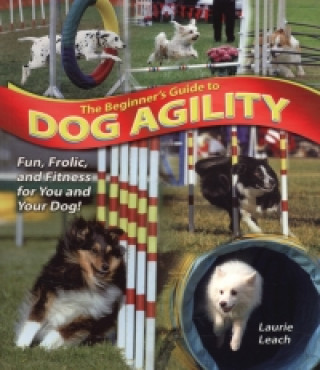 Beginner's Guide to Dog Agility