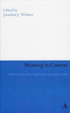 Meaning in Context