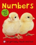 Bright Baby Touch & Feel Numbers