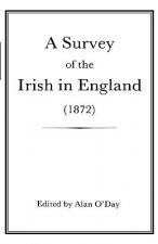 Survey of the Irish in England (1872)