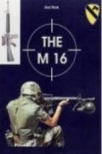M 16
