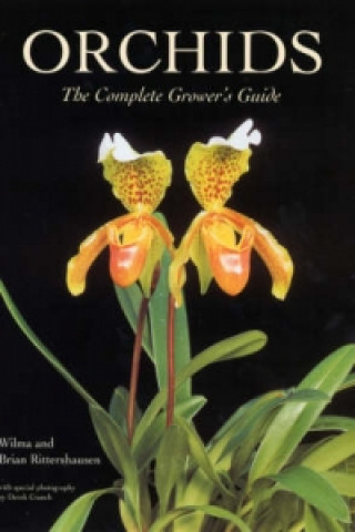 Orchids