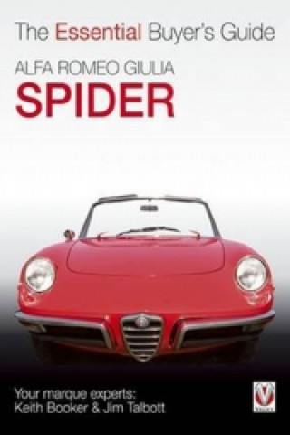 Essential Buyers Guide Alfa Romeo Giulia Spider