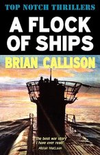 Flock of Ships