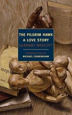Pilgrim Hawk