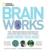 Brainworks