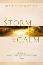 Storm Before the Calm