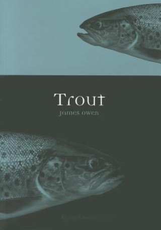Trout