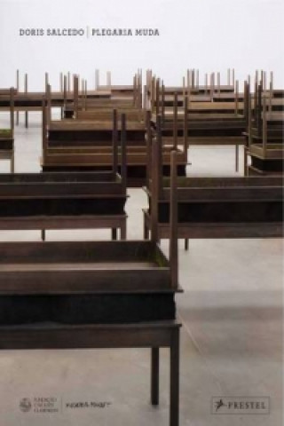 Doris Salcedo
