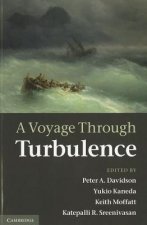 Voyage Through Turbulence