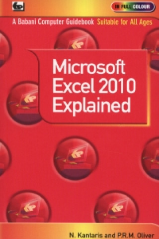 Microsoft Excel 2010 Explained