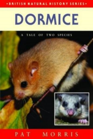 Dormice