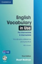 English Vocabulary in Use: Pre-intermediate and Intermediate