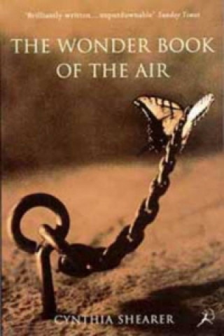 Wonder Book of the Air