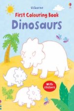 First Colouring Book Dinosaurs with Stickers