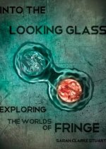 Into The Looking Glass