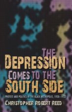 Depression Comes to the South Side