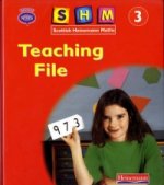 Scottish Heinemann Maths 3: Teaching File
