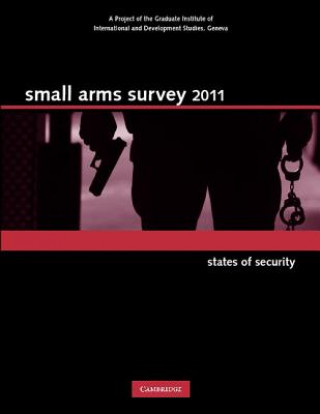 Small Arms Survey 2011