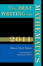 Best Writing on Mathematics 2011