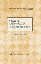 Guide to Advanced Linear Algebra