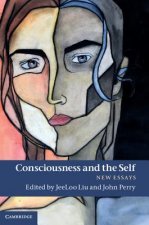 Consciousness and the Self