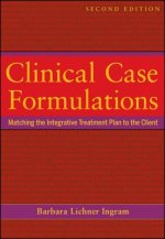 Clinical Case Formulations - Matching the Integrative Treatment Plan to the Client 2e