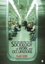Introduction to the Sociology of Work and Occupations