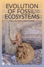 Evolution of Fossil Ecosystems