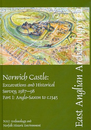 EAA 132: Norwich Castle
