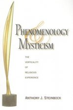 Phenomenology and Mysticism