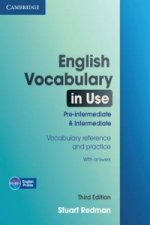 English Vocabulary in Use Pre-intermediate and Intermediate