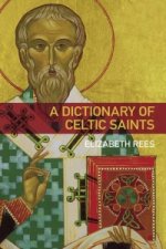 Dictionary of Celtic Saints